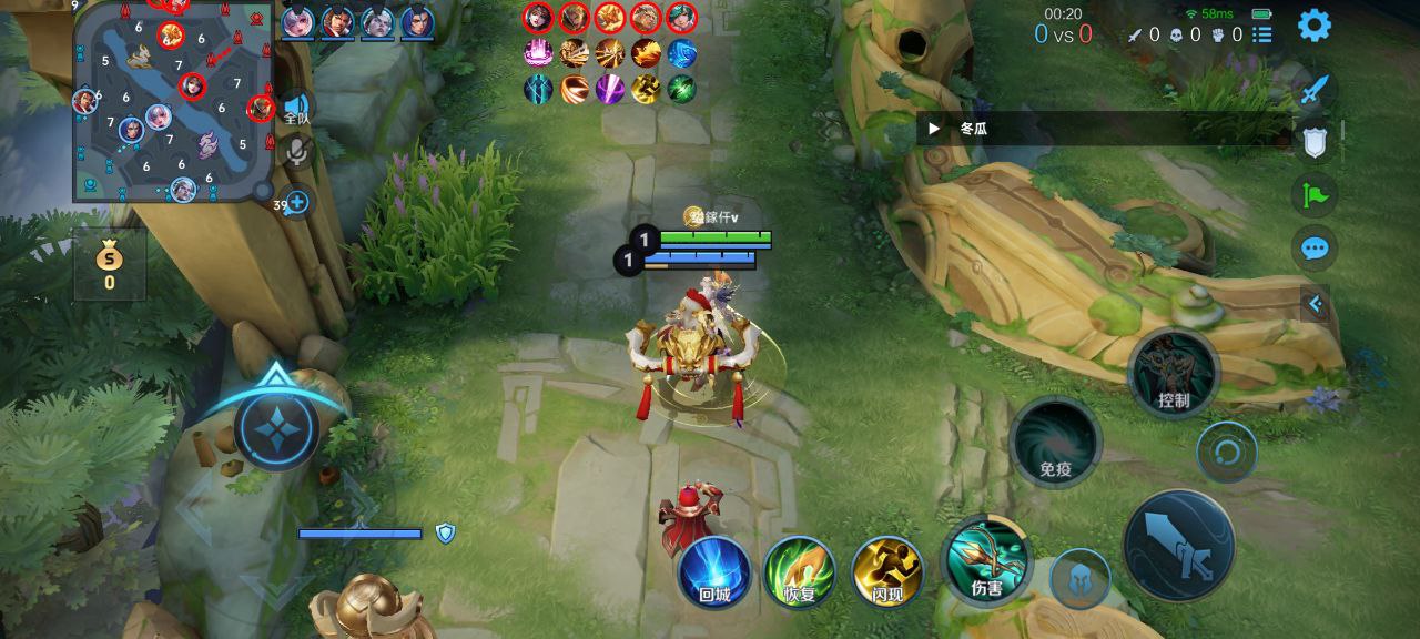 王者荣耀【柚子】安卓直装辅助